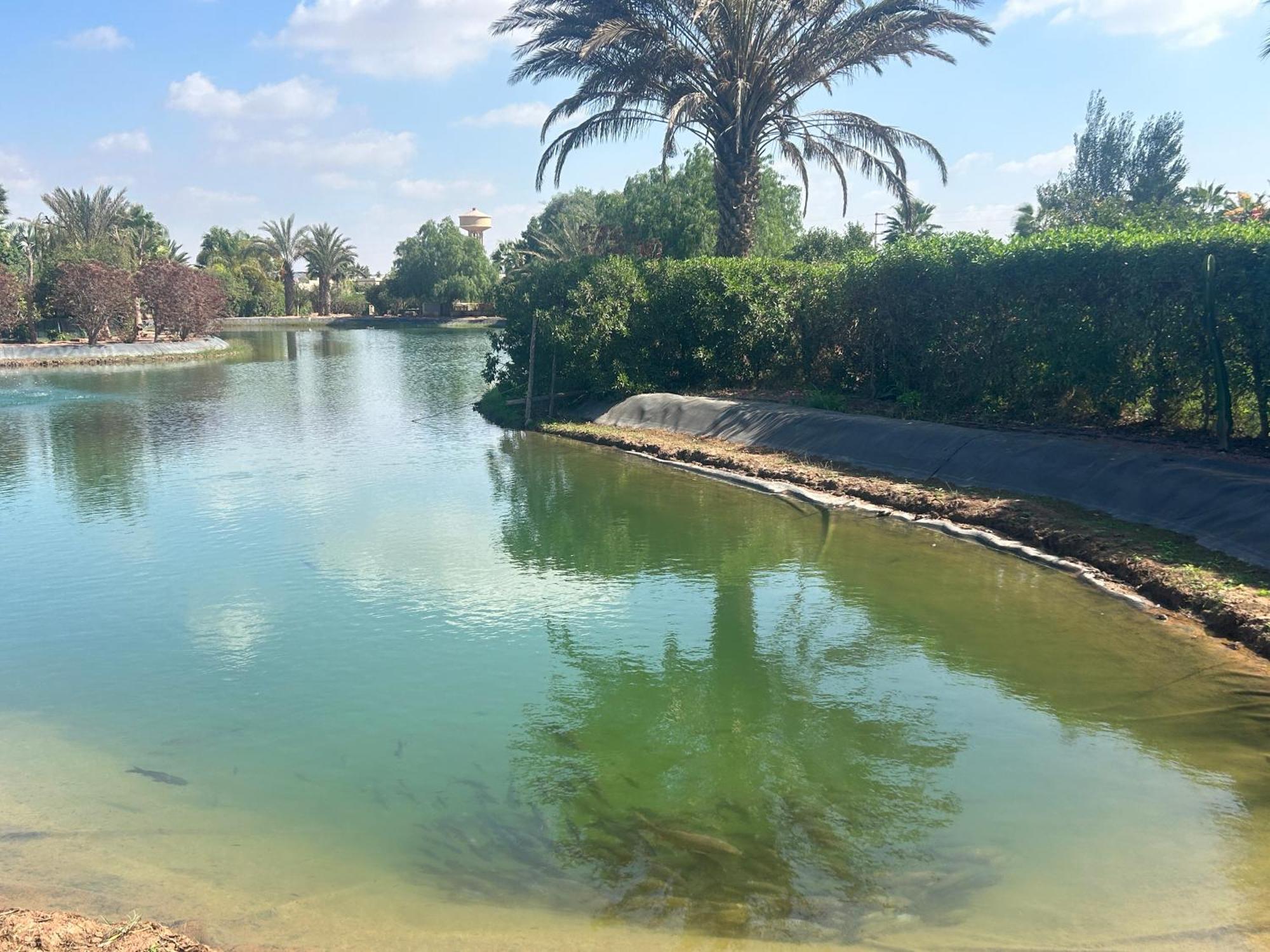 Villa Louisa Piscine Privee Sans Vis A Vis Dyar Shemsi Tarudant Zewnętrze zdjęcie
